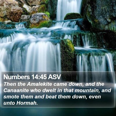 Numbers 14:45 ASV Bible Verse Image