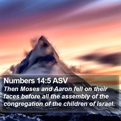 Numbers 14:5 ASV Bible Verse Image