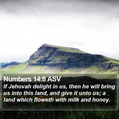 Numbers 14:8 ASV Bible Verse Image