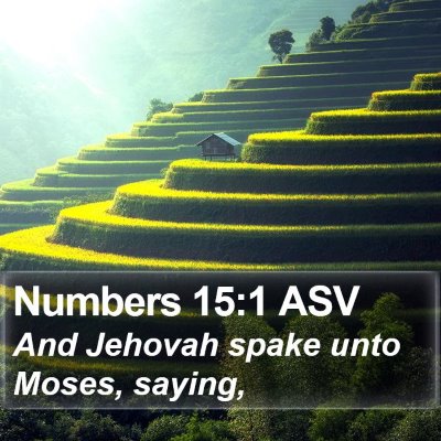 Numbers 15:1 ASV Bible Verse Image