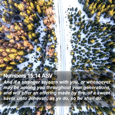 Numbers 15:14 ASV Bible Verse Image