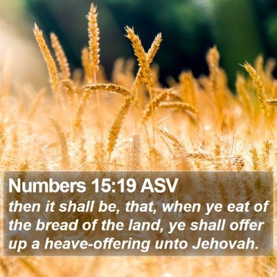 Numbers 15:19 ASV Bible Verse Image