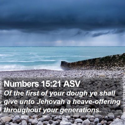 Numbers 15:21 ASV Bible Verse Image