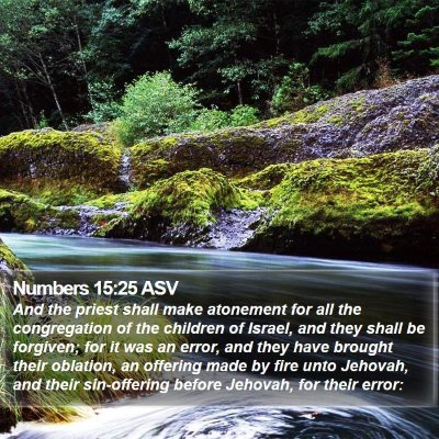 Numbers 15:25 ASV Bible Verse Image