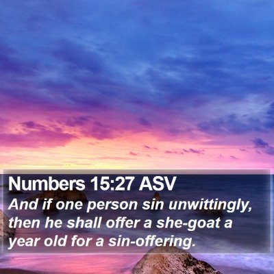 Numbers 15:27 ASV Bible Verse Image