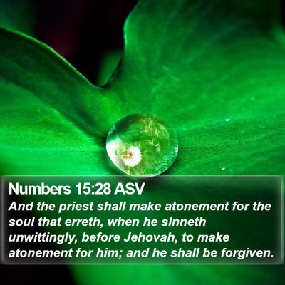 Numbers 15:28 ASV Bible Verse Image