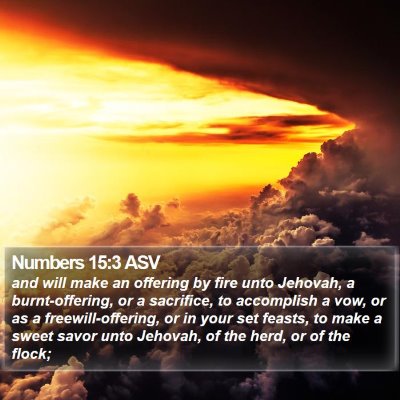 Numbers 15:3 ASV Bible Verse Image