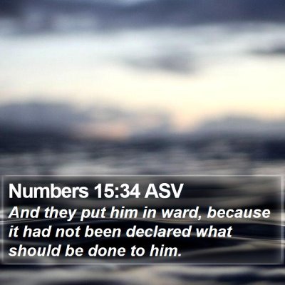 Numbers 15:34 ASV Bible Verse Image