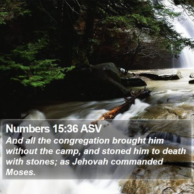 Numbers 15:36 ASV Bible Verse Image
