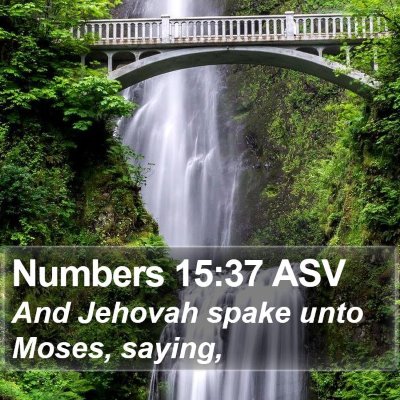 Numbers 15:37 ASV Bible Verse Image
