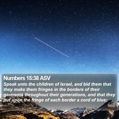Numbers 15:38 ASV Bible Verse Image