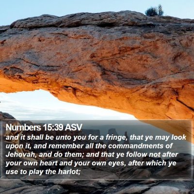 Numbers 15:39 ASV Bible Verse Image