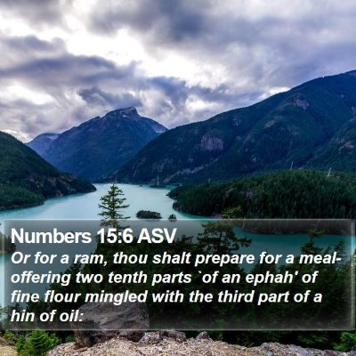Numbers 15:6 ASV Bible Verse Image