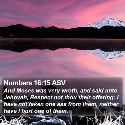 Numbers 16:15 ASV Bible Verse Image