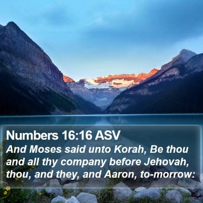 Numbers 16:16 ASV Bible Verse Image