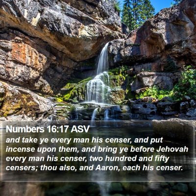 Numbers 16:17 ASV Bible Verse Image