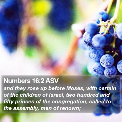Numbers 16:2 ASV Bible Verse Image