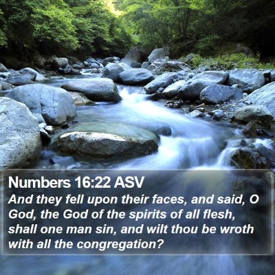 Numbers 16:22 ASV Bible Verse Image