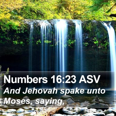 Numbers 16:23 ASV Bible Verse Image