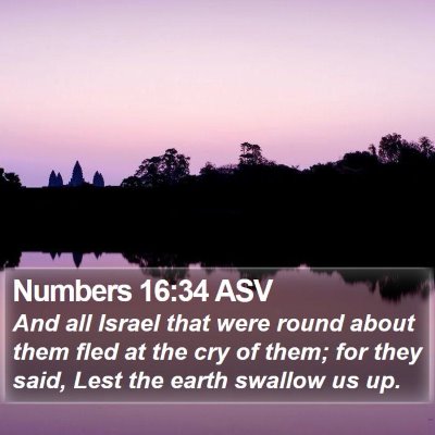 Numbers 16:34 ASV Bible Verse Image