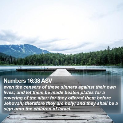 Numbers 16:38 ASV Bible Verse Image