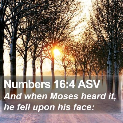 Numbers 16:4 ASV Bible Verse Image