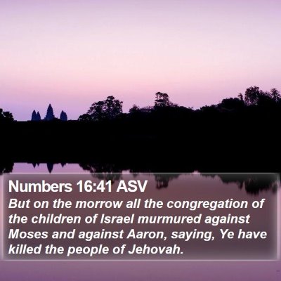 Numbers 16:41 ASV Bible Verse Image