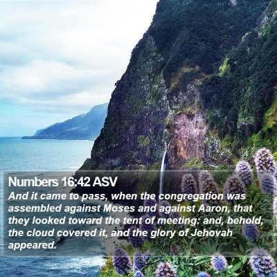 Numbers 16:42 ASV Bible Verse Image