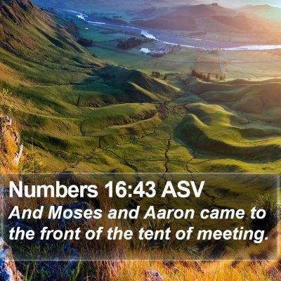 Numbers 16:43 ASV Bible Verse Image