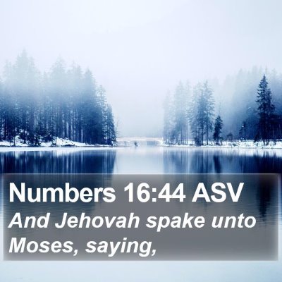 Numbers 16:44 ASV Bible Verse Image