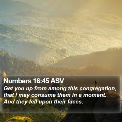 Numbers 16:45 ASV Bible Verse Image