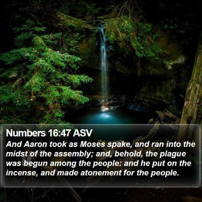 Numbers 16:47 ASV Bible Verse Image