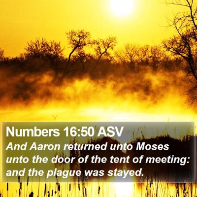 Numbers 16:50 ASV Bible Verse Image