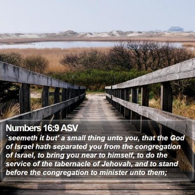 Numbers 16:9 ASV Bible Verse Image