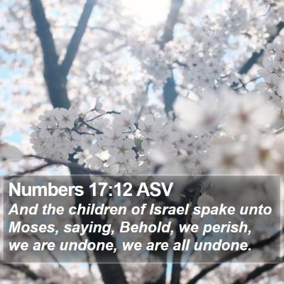 Numbers 17:12 ASV Bible Verse Image
