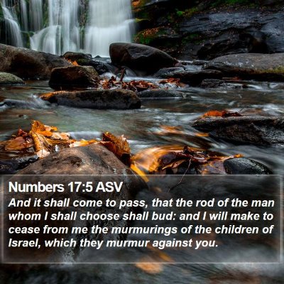 Numbers 17:5 ASV Bible Verse Image