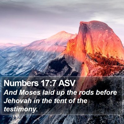 Numbers 17:7 ASV Bible Verse Image