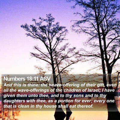 Numbers 18:11 ASV Bible Verse Image