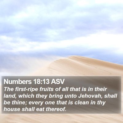 Numbers 18:13 ASV Bible Verse Image