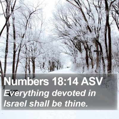 Numbers 18:14 ASV Bible Verse Image