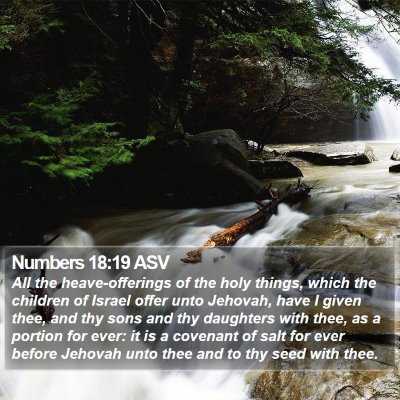 Numbers 18:19 ASV Bible Verse Image