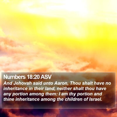Numbers 18:20 ASV Bible Verse Image