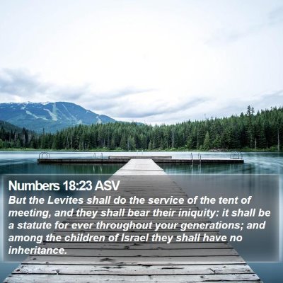 Numbers 18:23 ASV Bible Verse Image