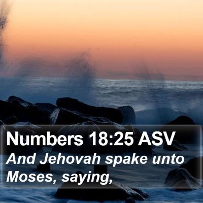Numbers 18:25 ASV Bible Verse Image