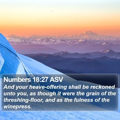 Numbers 18:27 ASV Bible Verse Image