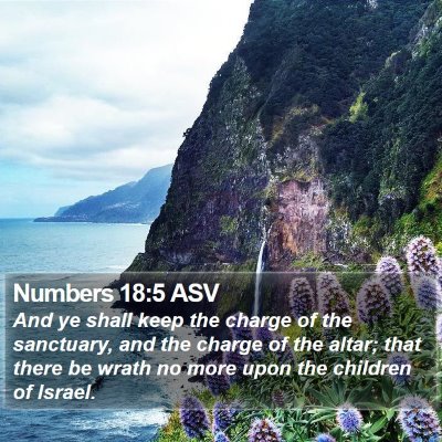 Numbers 18:5 ASV Bible Verse Image