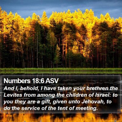 Numbers 18:6 ASV Bible Verse Image