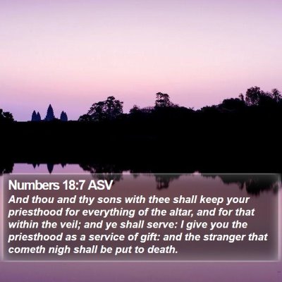 Numbers 18:7 ASV Bible Verse Image