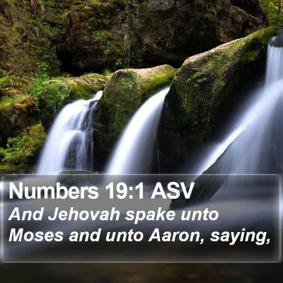 Numbers 19:1 ASV Bible Verse Image