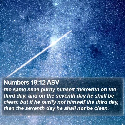 Numbers 19:12 ASV Bible Verse Image